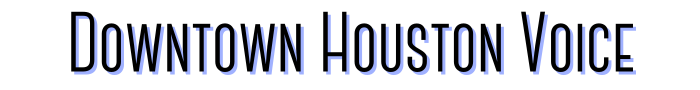 logo of dthouston.com
